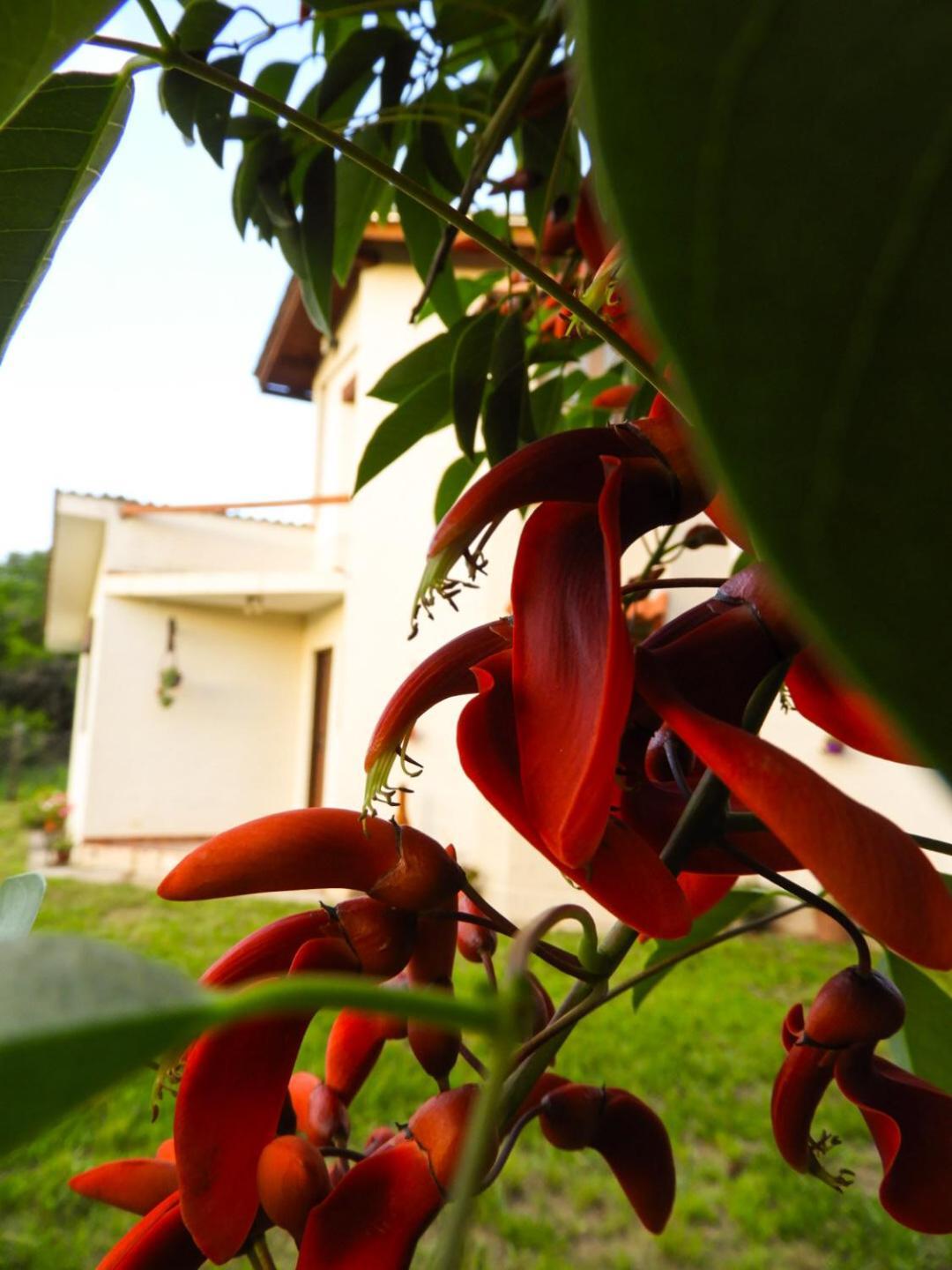 Descanso Serrano Holiday home *